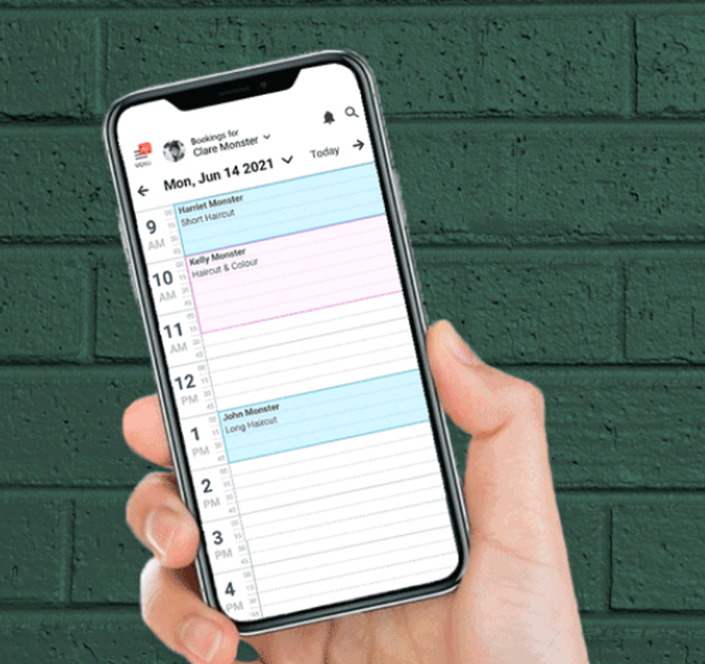 salonMonster Screenshot 1