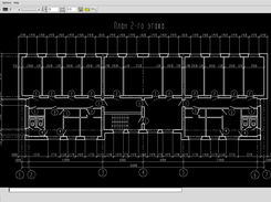 Program window