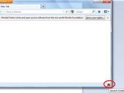 For User Input Click the Icon on the bottom right corner of mozilla browser