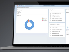 SAP Access Control Screenshot 1