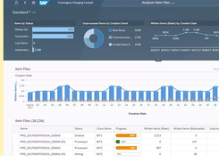 SAP BRIM Screenshot 1