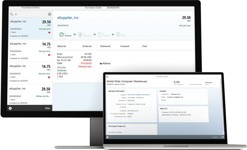 SAP ERP Screenshot 1