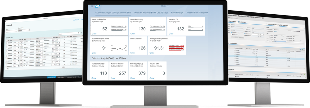 SAP Extended Warehouse Management (EWM) Screenshot 1