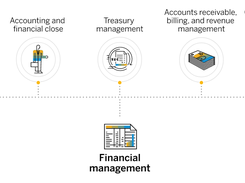 SAP Financials Screenshot 1