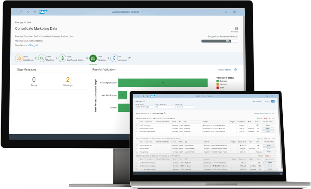 SAP Master Data Governance Screenshot 1