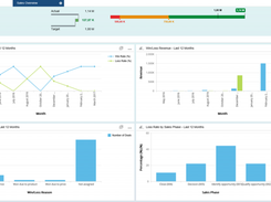 SAP Sales Cloud Screenshot 1