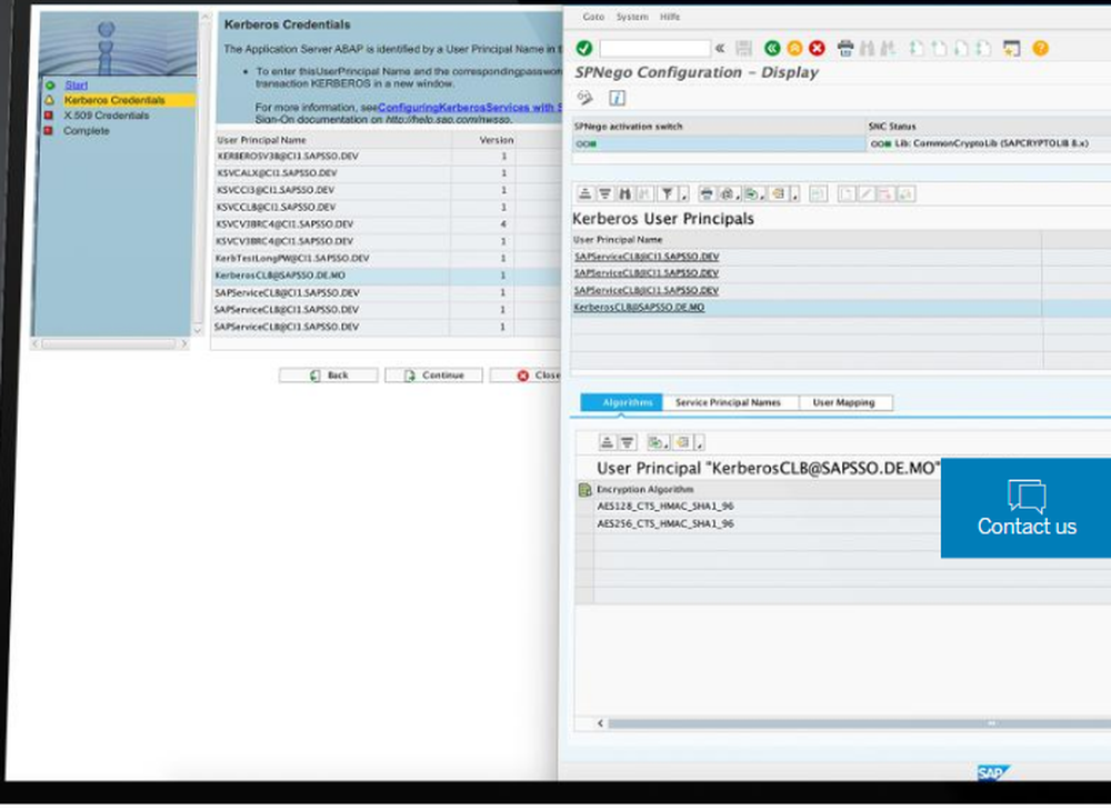 SAP Single Sign-On Screenshot 1