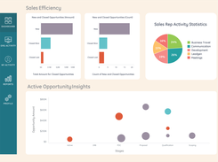 Sales Efficiency Dashboard