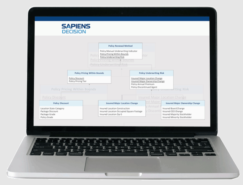 Sapiens Decision Screenshot 1