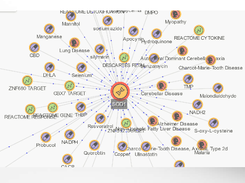 Nextnet Screenshot 1