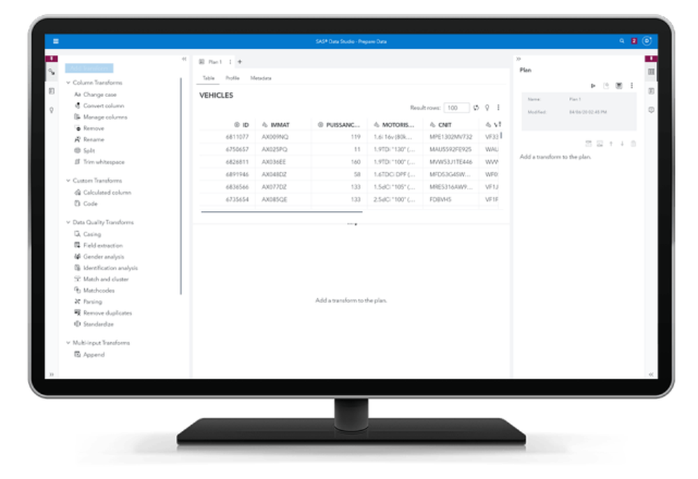 SAS Data Management Screenshot 1