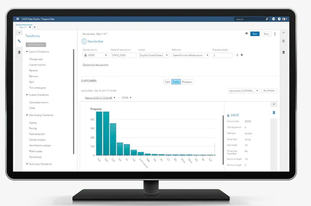 SAS Data Quality Screenshot 1