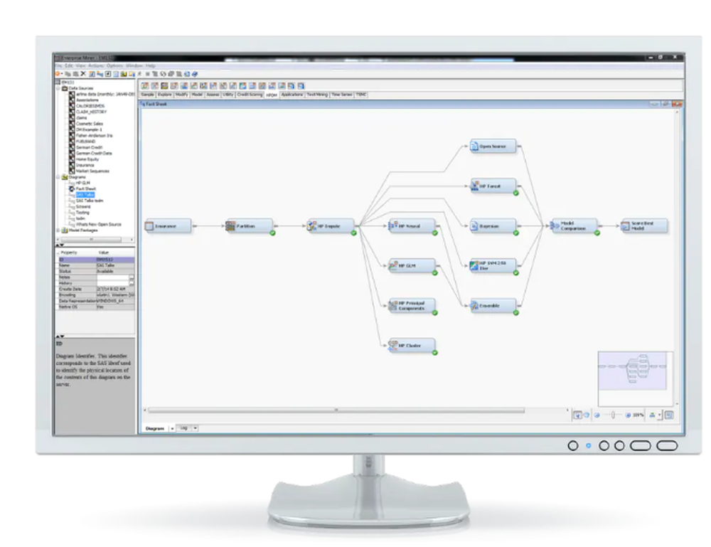 SAS Enterprise Miner Screenshot 1