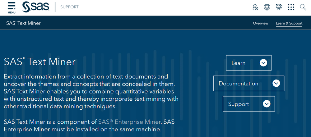 SAS Text Miner Screenshot 1