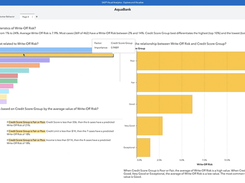 SAS Visual Analytics Screenshot 2