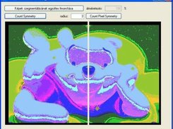 Markov segmented image