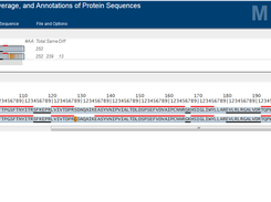 Sequence Alignment Viewer