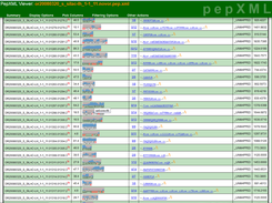 PepXML Viewer