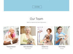 Savvy Groomer Websites template!