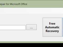 With a loaded file, showing the repair options.