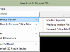 Showing the alternatives menu with one submenu.