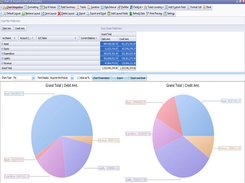 Chart of Accounts