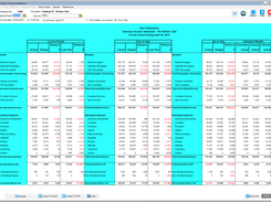 Summary Income Statement