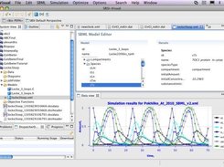 Model Simulations in SBSI