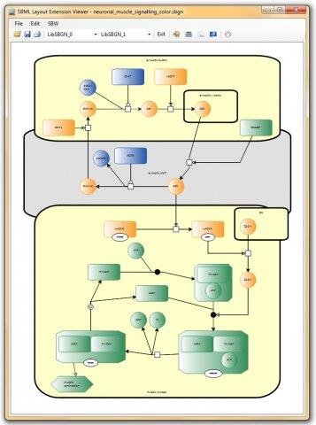 pdf computational biomechanics for medicine from algorithms to models and applications