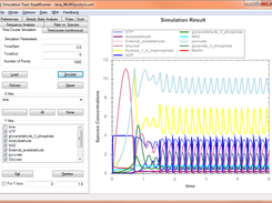 Time Course Simulation