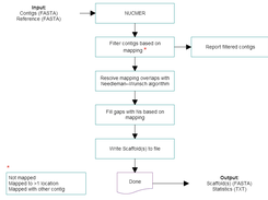Flow diagram of the Scaffold_builder script.