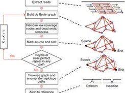 Overview of the Scalpel algorithm workflow