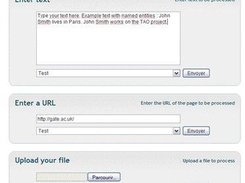Web Test Interface