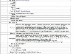 Detailed Information about a vulnerability.