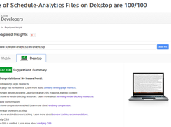 Schedule-Analytics Score on PageSpeed Insights