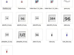 Initial Icons