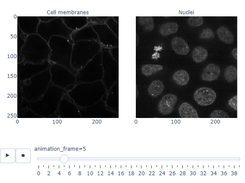 scikit-image Screenshot 1