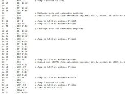 Disassembler output