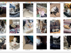 scrawler Screenshot 2