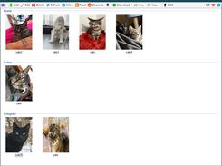 scrawler Screenshot 1