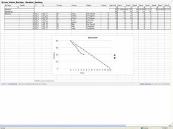 Scrum Vision SpreadSheet Backlog