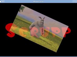 Scrupp supports rendering of MPEG-1 videos using OpenGL