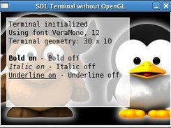 SDL Terminal without OpenGL