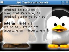 SDL Terminal with OpenGL