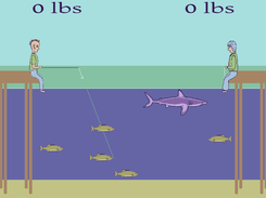 Catching a Fish