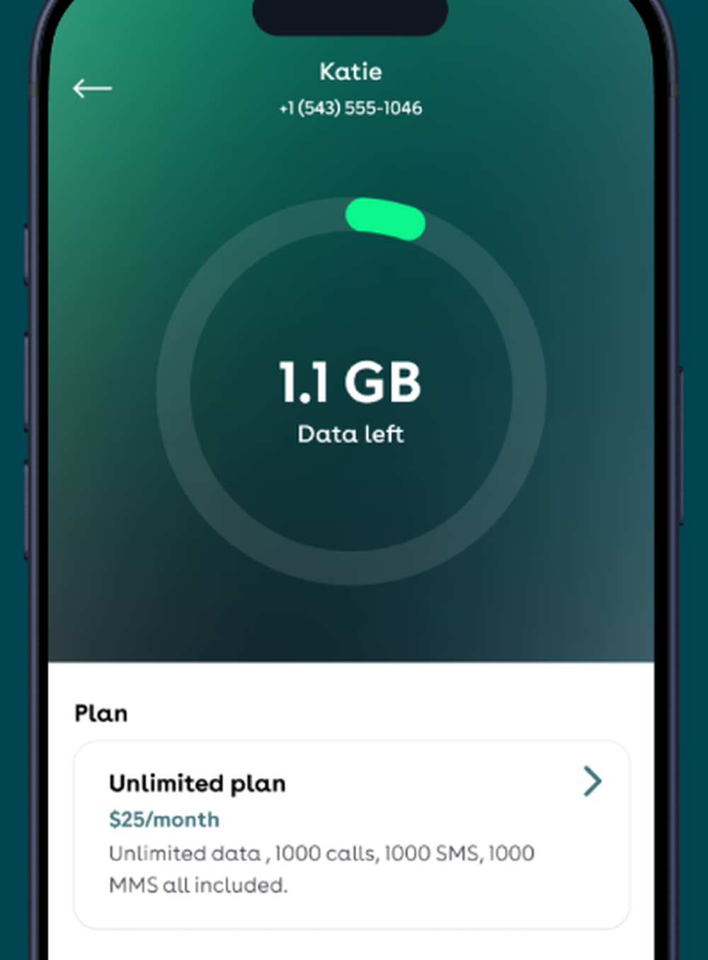 Seamless OS Screenshot 1