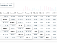 Cohort Analysis