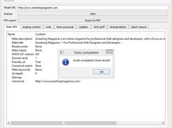 SE Auditor - website audit 1