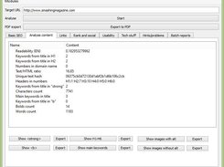 SE Auditor - website audit 2