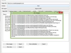 SE Auditor - website audit 5